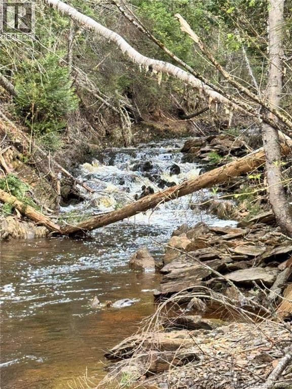 Lot Sand Brook Road, Hoyt, photo 8