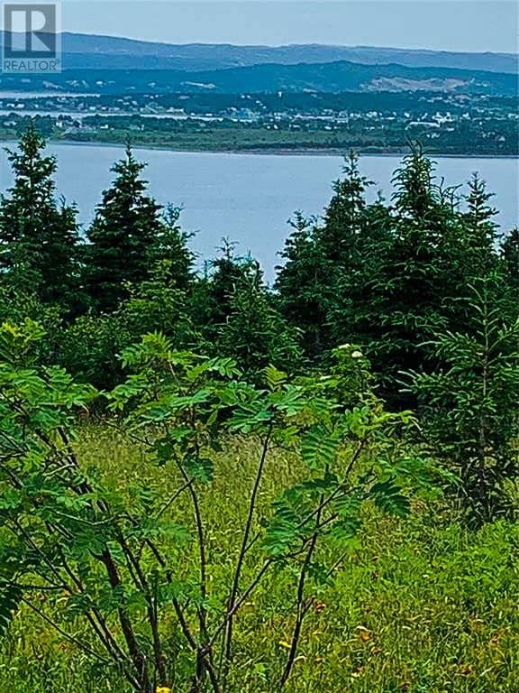0 Alma Heights, Spaniards Bay, photo 4