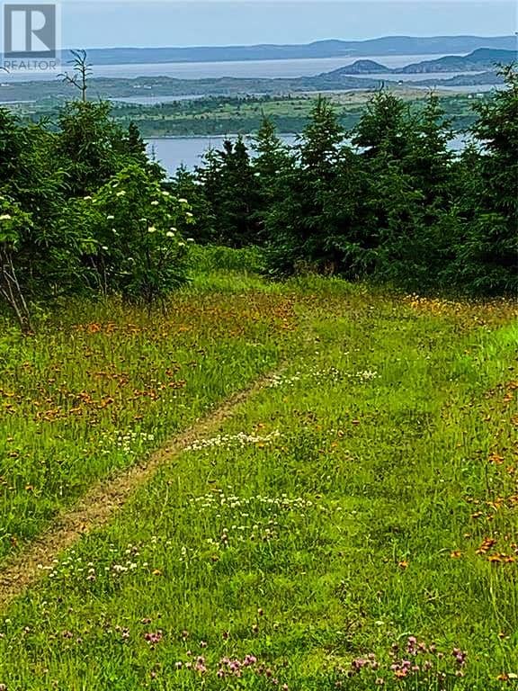 0 Alma Heights, Spaniards Bay, photo 7