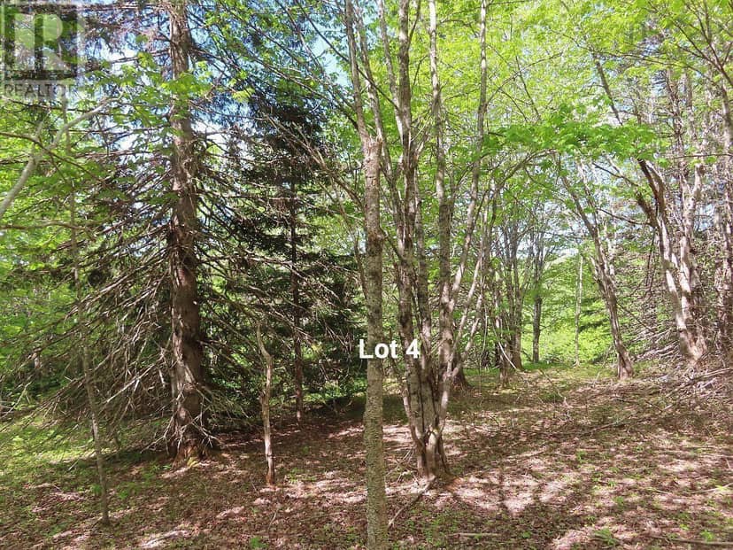 3 Lots Gold Brook Road — photo 30 of 38