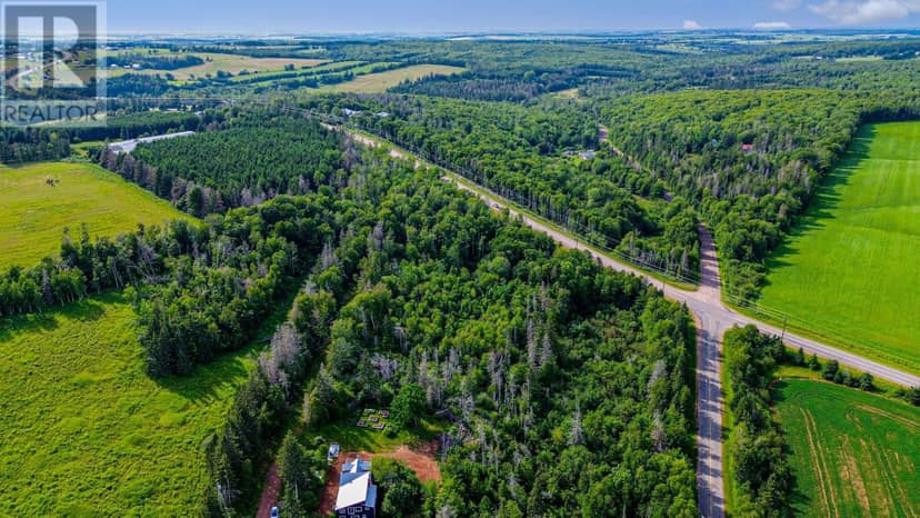 Lot 4 ROUTE 225, Stanchel, photo 7