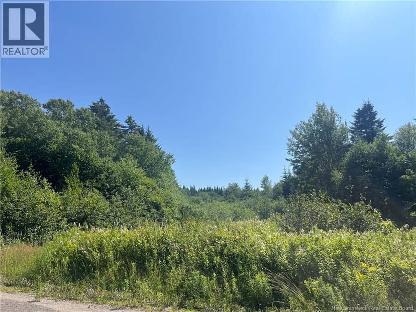 lot Rabbit Road — photo 2 of 4