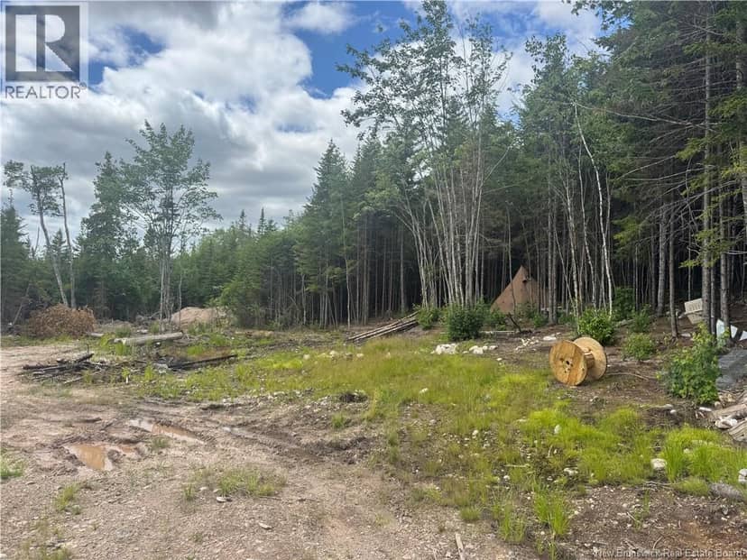 2768 Route 790, Musquash, photo 4