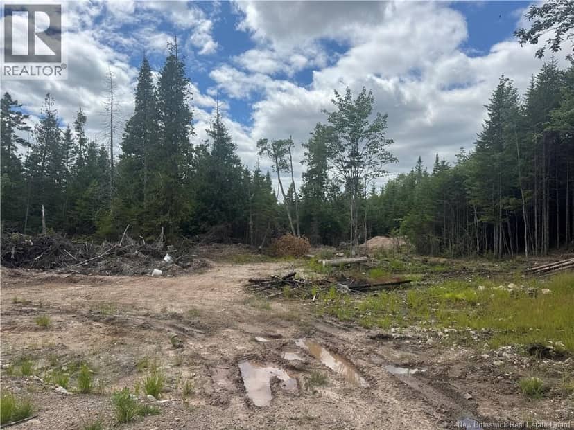 2768 Route 790, Musquash, photo 3