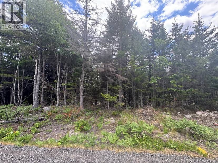 2768 Route 790, Musquash, photo 6