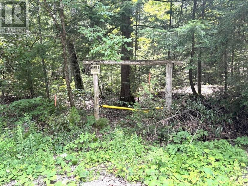 Beside 1456 Crystal Lake Road — photo 36 of 39