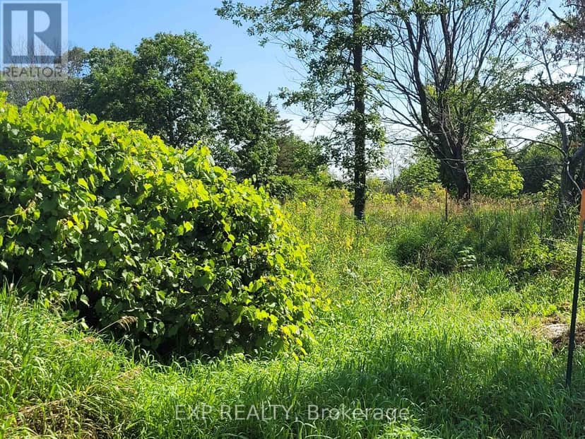 0 Caintown Road — photo 28 of 40
