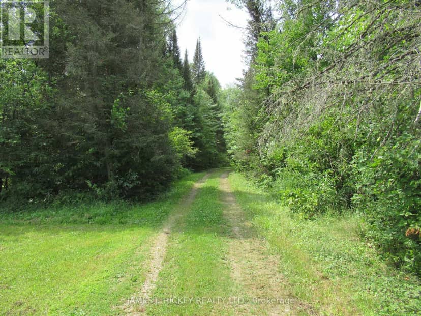 601 Mackey Creek Road — photo 14 of 16