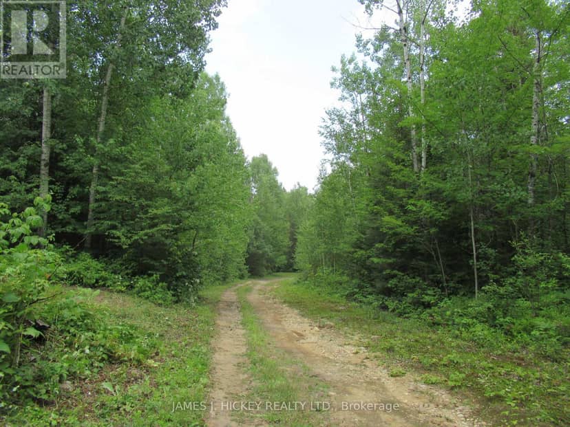 601 Mackey Creek Road — photo 15 of 16