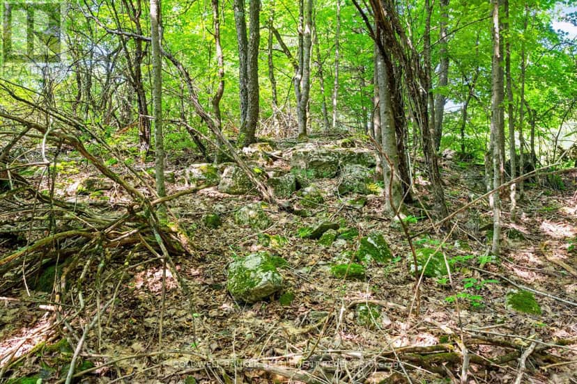 Lot 30 Thompson Drive — photo 16 of 23