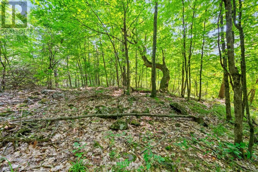 Lot 30 Thompson Drive — photo 20 of 23