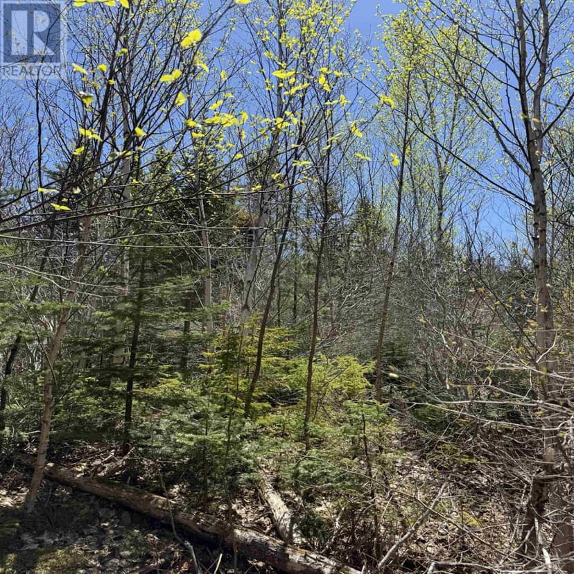 Lot 22 Marble Mountain Road — photo 16 of 22