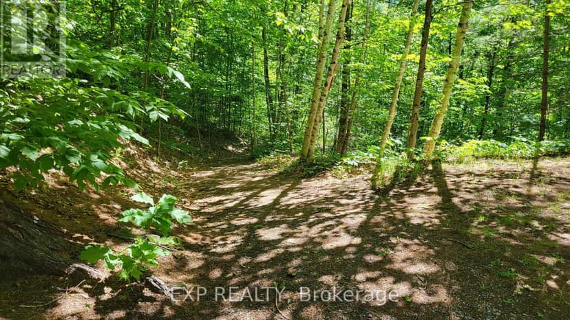 2205 Calabogie Road — photo 28 of 40