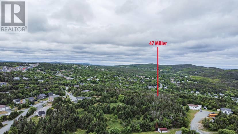 47 Millers Road, Portugal Cove-St. Philips, photo 6