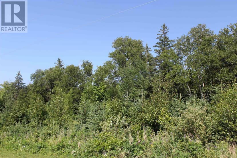 Acreage Maple Ridge Lane — photo 5 of 5