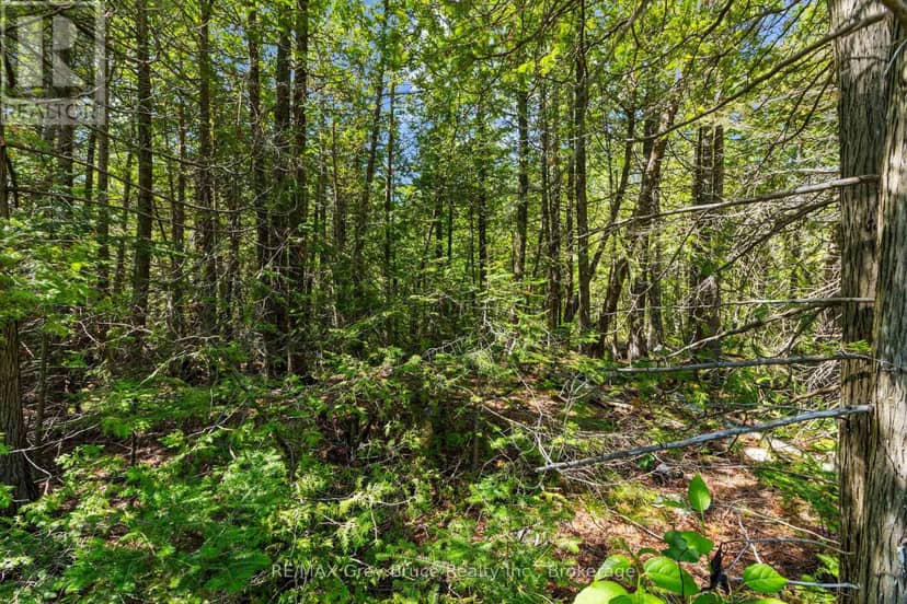 Pt Fm Lt 4 Chi Sin Tib Dek Road, Northern Bruce Peninsula, photo 6