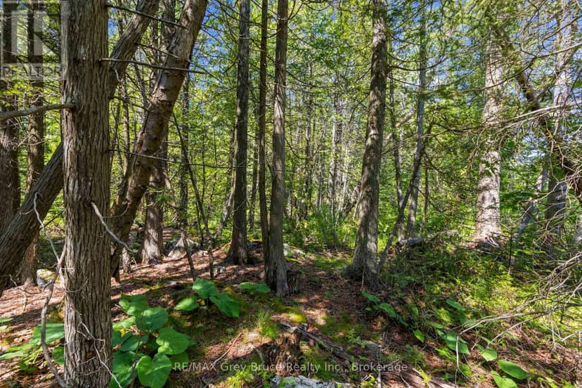 Pt Fm Lt 4 Chi Sin Tib Dek Road, Northern Bruce Peninsula, photo 7