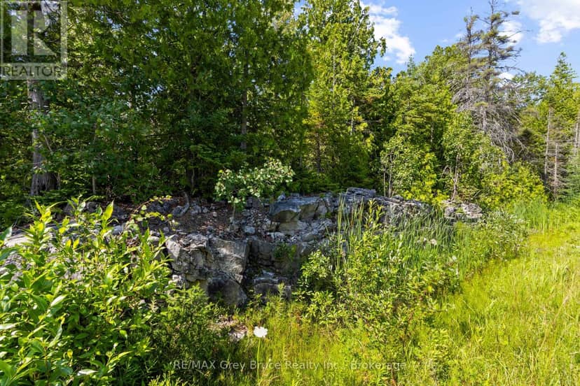 Pt Fm Lt 4 Chi Sin Tib Dek Road, Northern Bruce Peninsula, photo 8
