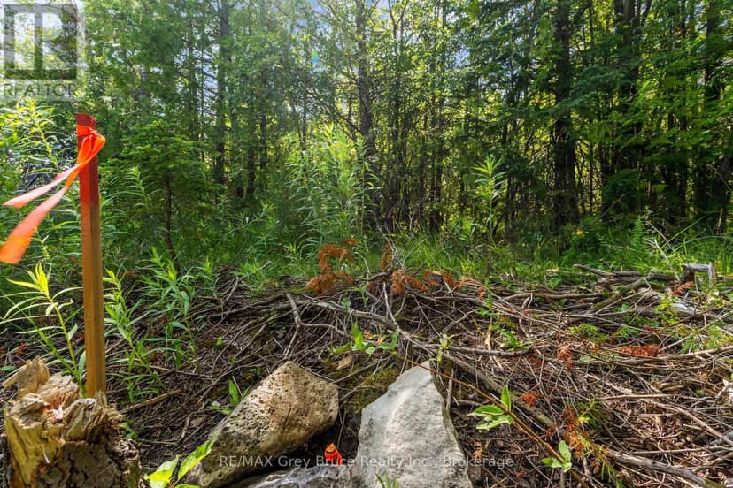Part Farm Lot 4 Chi Sin Tib Dek Road, Northern Bruce Peninsula, photo 8