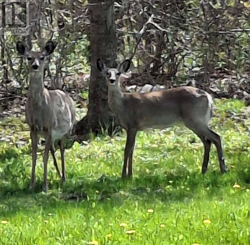 15 Deer Haven Drive — photo 19 of 19