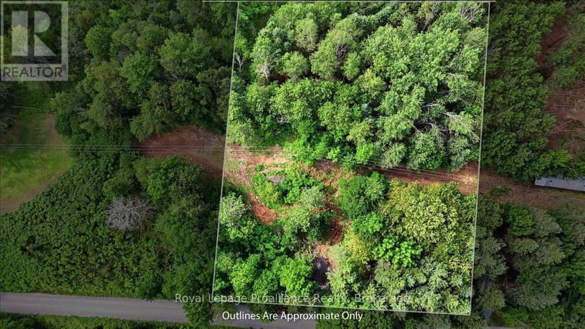 00 Otter Creek Road, Tweed, photo 3