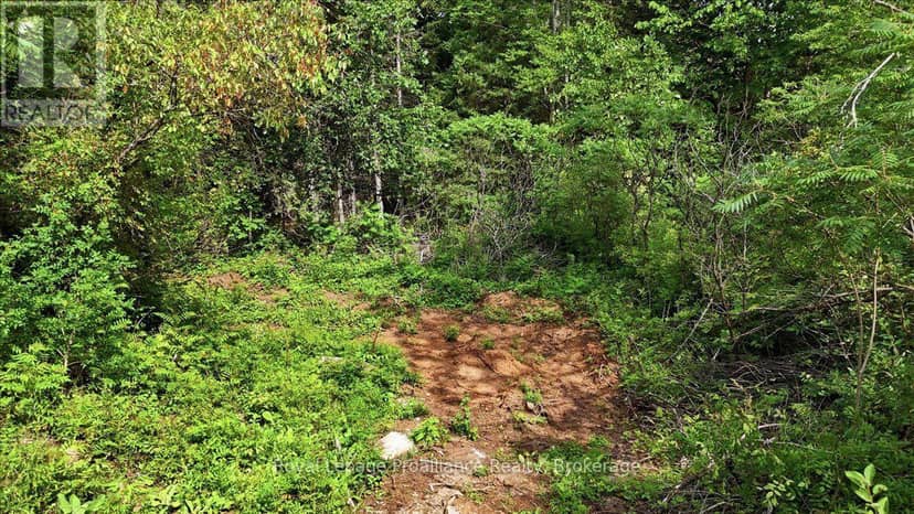 00 Otter Creek Road, Tweed, photo 6