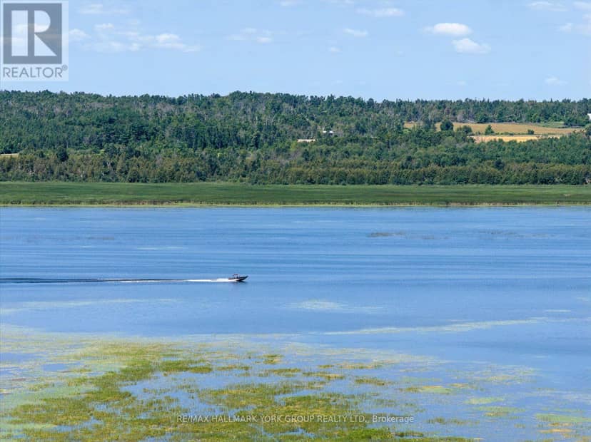 Lot 23 10 Concession, Kawartha Lakes, photo 8