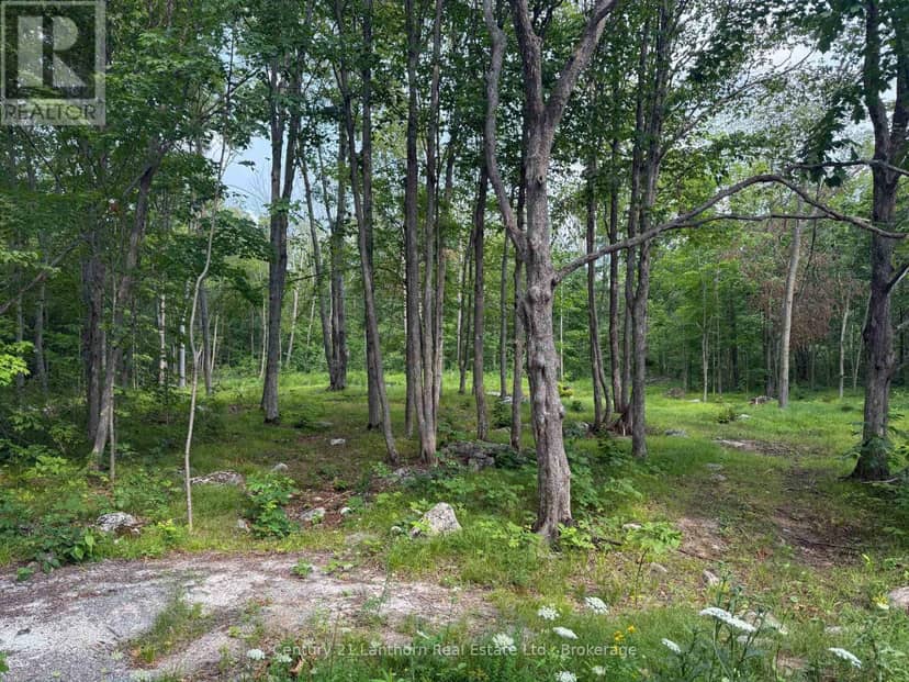 554 Pigden Road, Madoc, photo 4