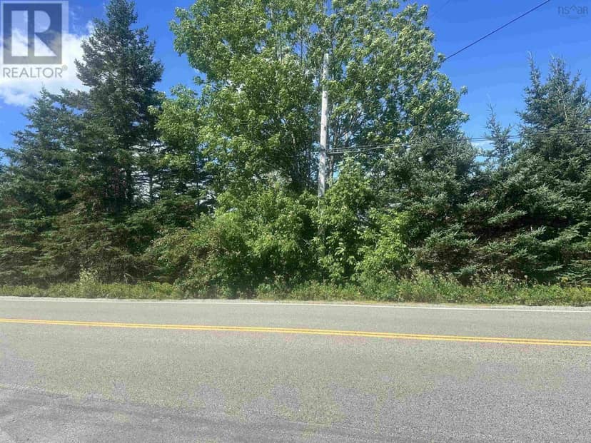 Lots 3 Highway, East Jordan, photo 8
