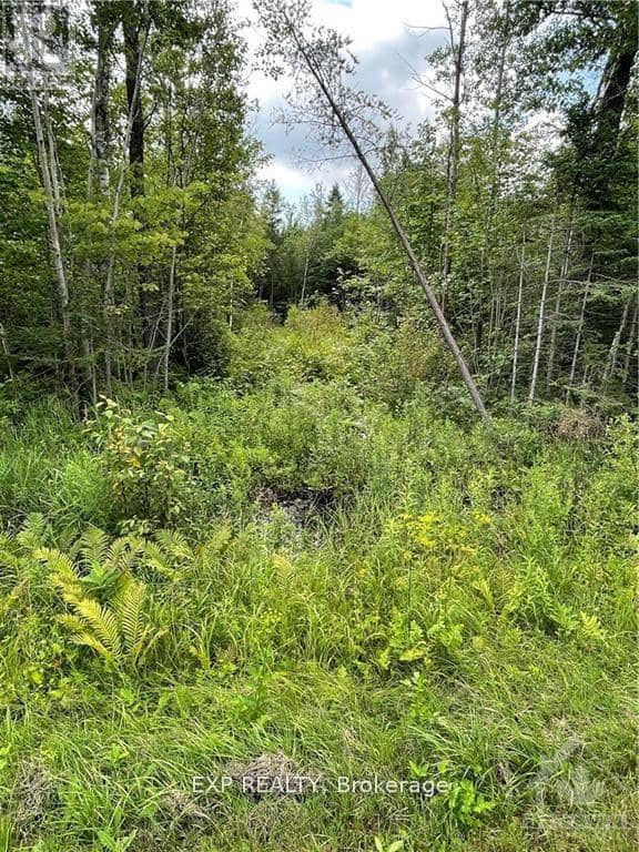 00 A1 Concession Road 4 Road — photo 11 of 13