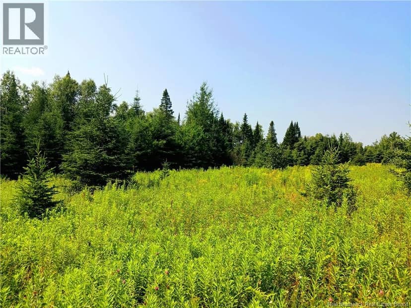 1496 Route 390 — photo 1 of 11