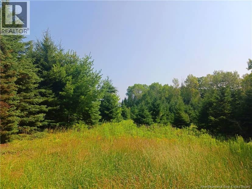 1496 Route 390 — photo 3 of 11