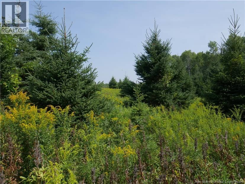 1496 Route 390 — photo 7 of 11