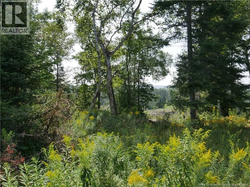 1496 Route 390 — photo 8 of 11