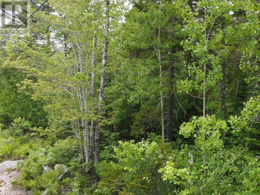 Lot 82 Pioneer Drive, Vaughan, photo 7