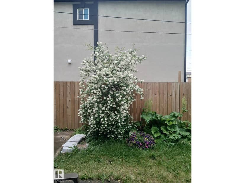 10714 103 ST NW — photo 37 of 40