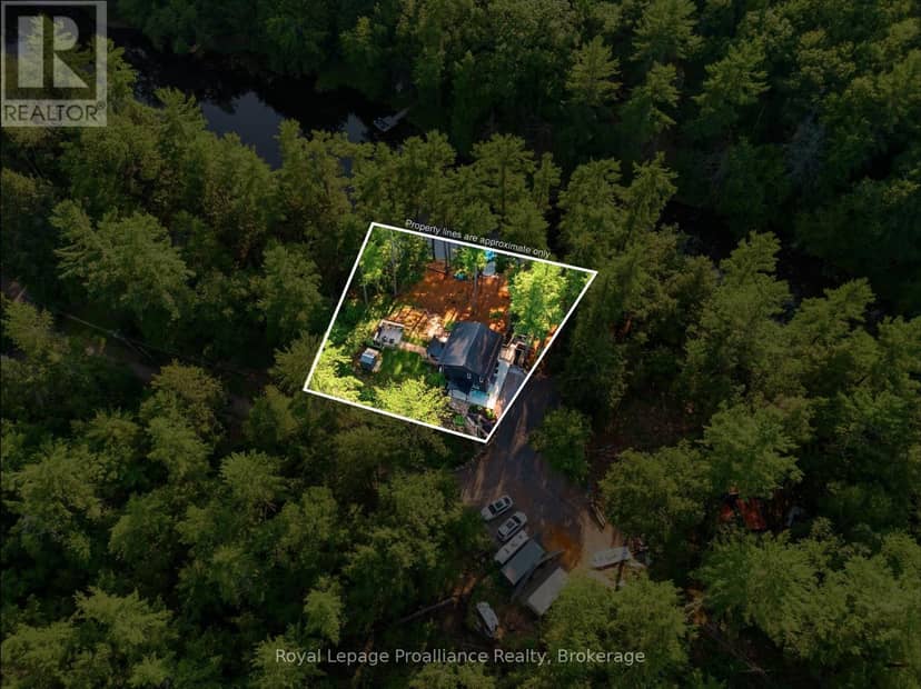 282-G Cottage Lane, Tweed, photo 4