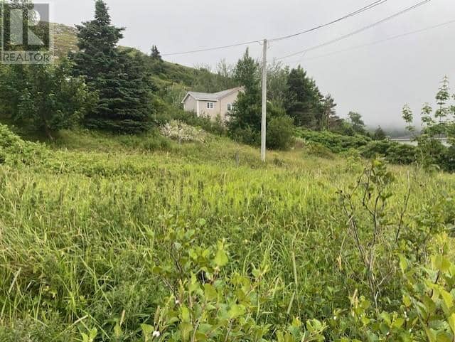 226-230 Main Road East Road — photo 4 of 15