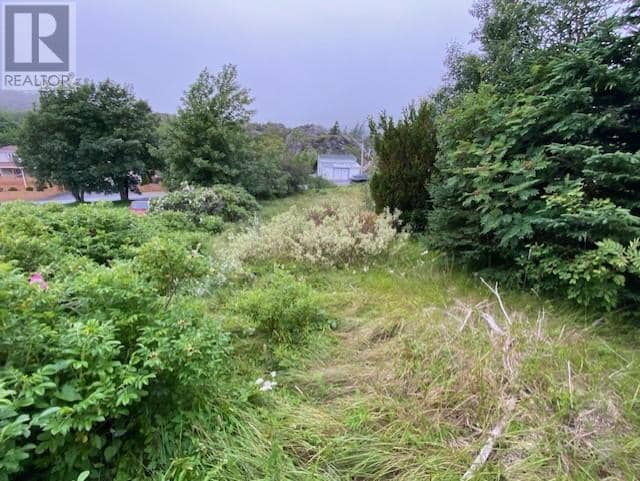 226-230 Main Road East Road — photo 5 of 15