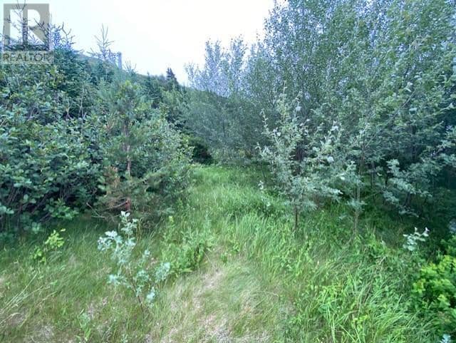 226-230 Main Road East Road — photo 6 of 15