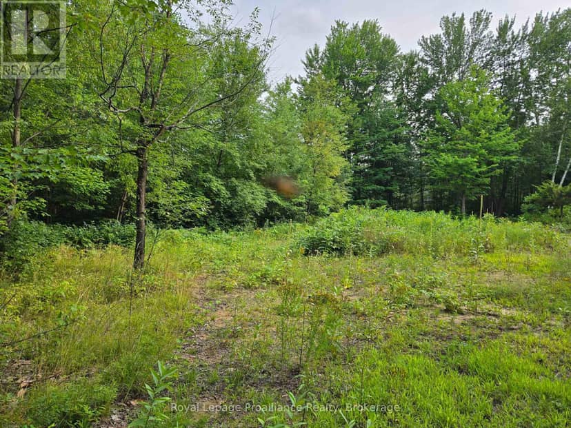 1446 Flinton Road — photo 13 of 19
