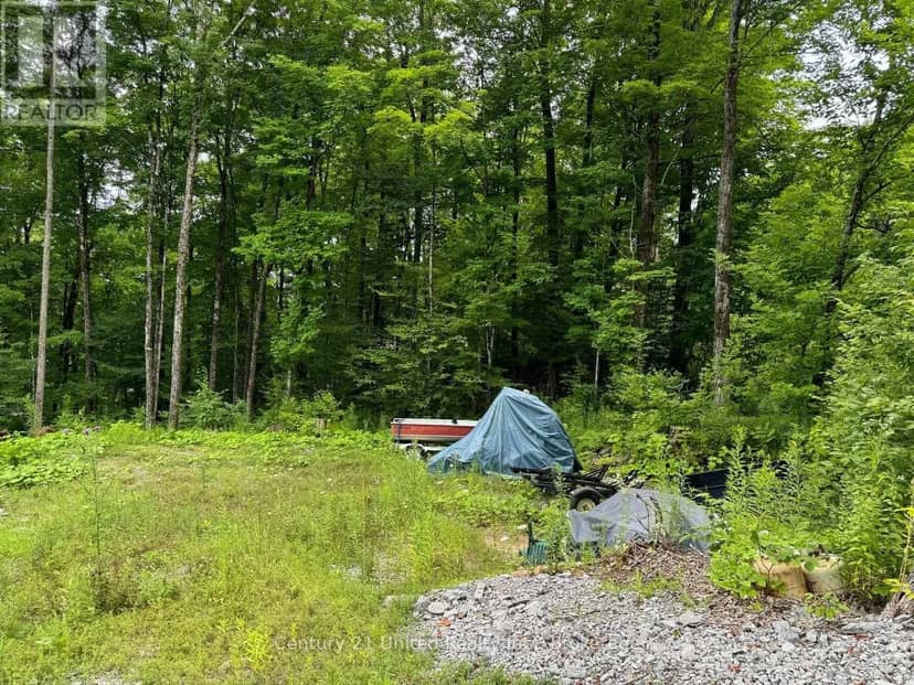 Lot 86 Kennedy Drive, Trent Lakes, photo 8
