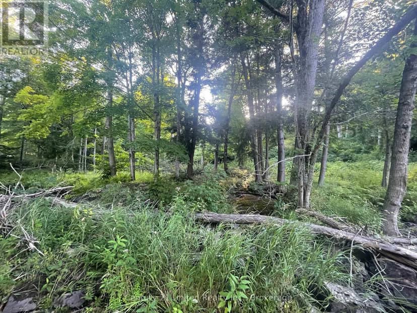 Lot 86 Kennedy Drive, Trent Lakes, photo 6