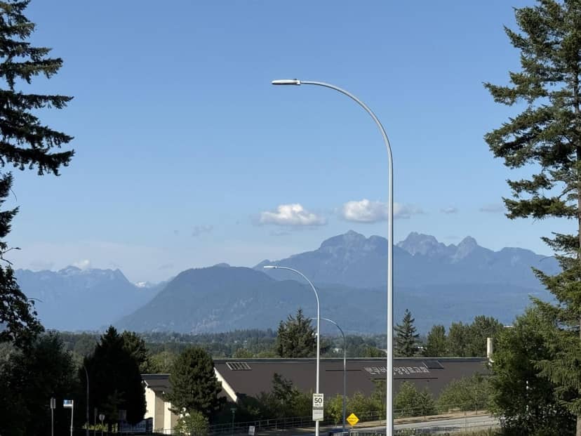 13 17538 100 AVENUE, Surrey, photo 3