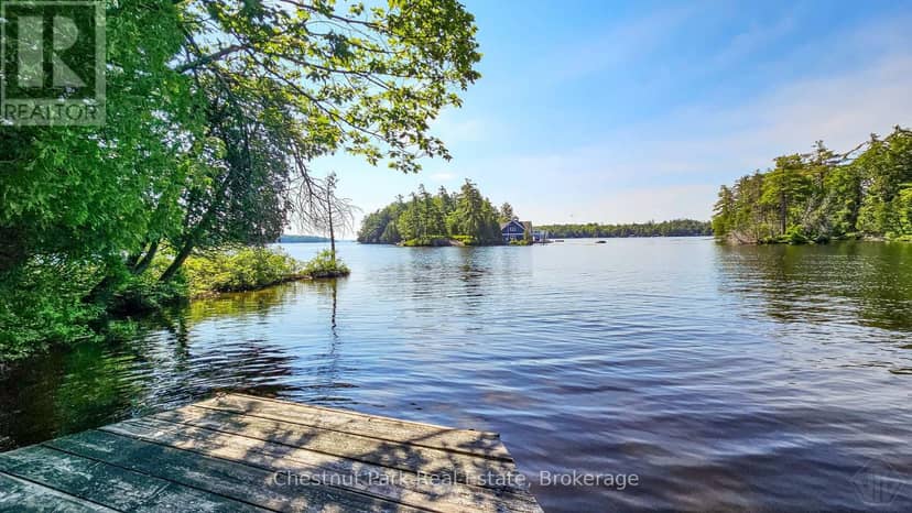 1 Merlin (Island M91) Island, Muskoka Lakes, photo 4