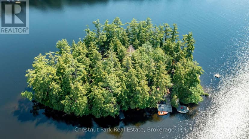 1 Merlin (Island M91) Island, Muskoka Lakes, photo 5