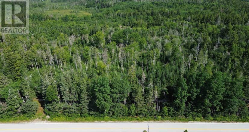 2.35 acres Highway 329, Blandford, photo 4