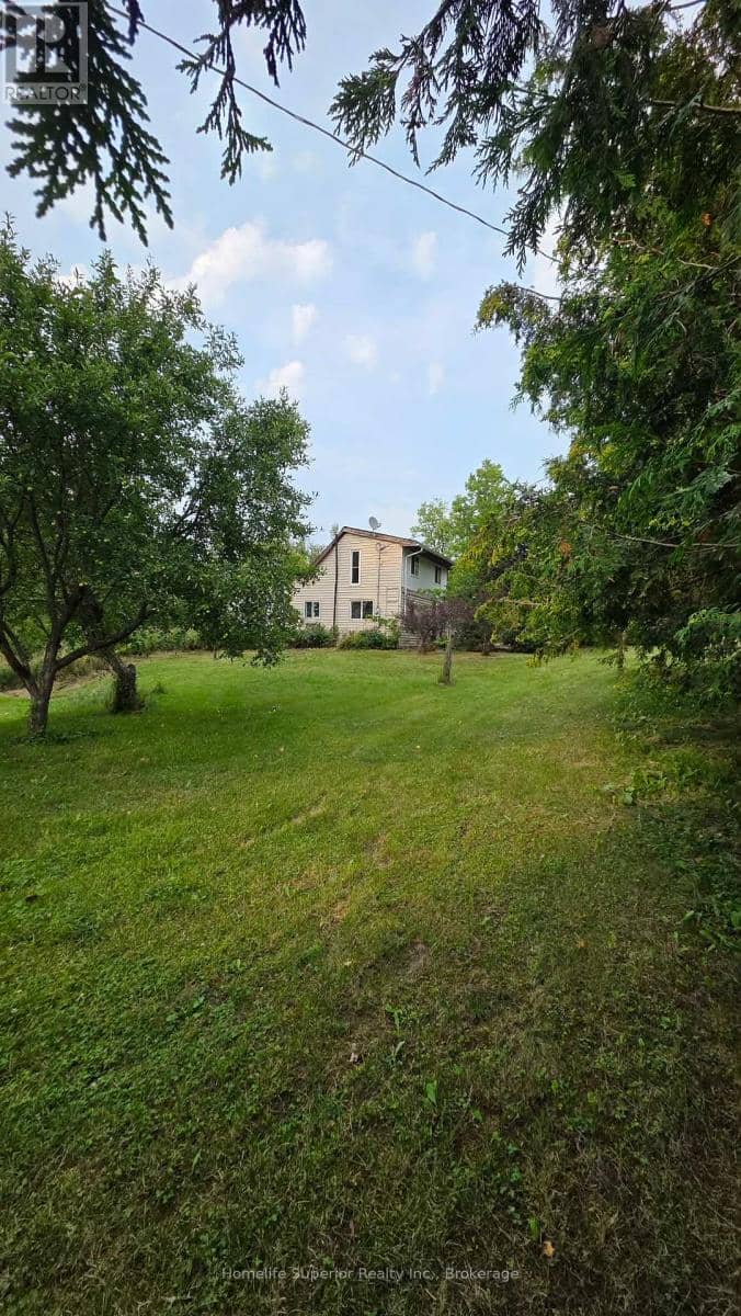 2632 Dummer Asphodel Road — photo 22 of 25