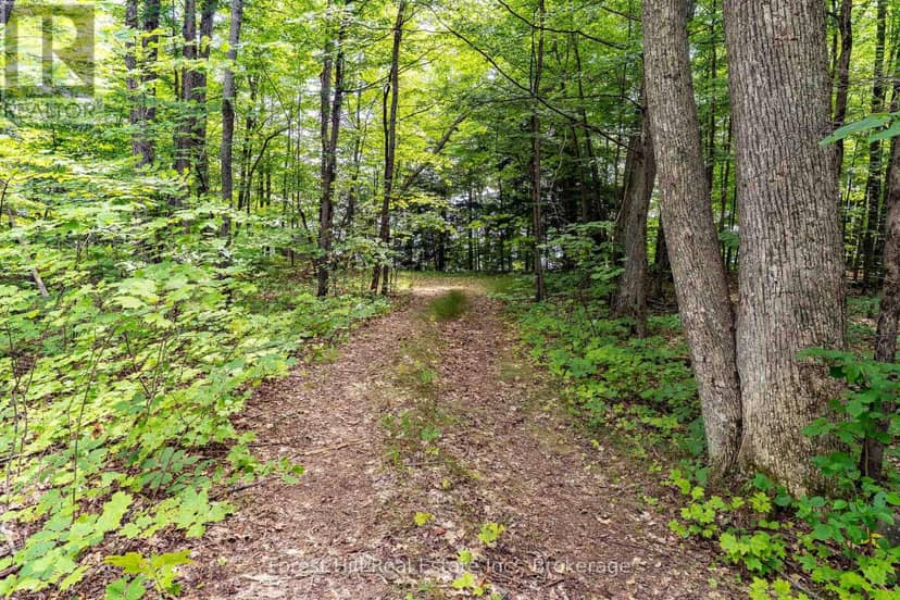 191 Long Point Road — photo 14 of 29