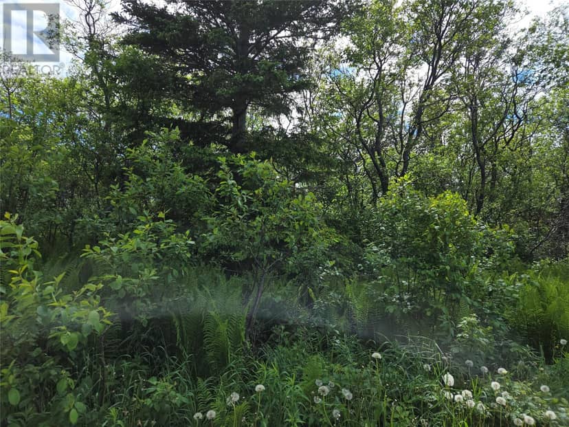 0 Crabbs River Road — photo 5 of 11